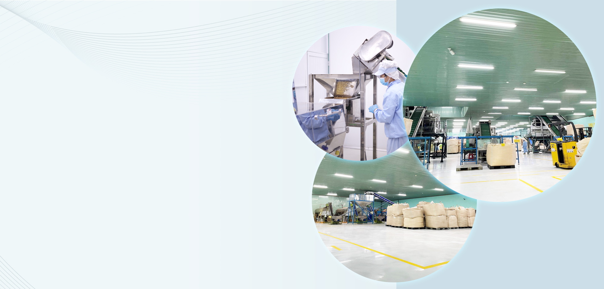 HOANG HA BP IMPORT AND  EXPORT .,JSC
