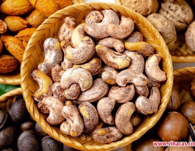 Vietnam Cashew Nut Export: Challenges of US Tariffs and Opportunities from Falling Raw Cashew Prices
