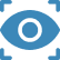VISION
