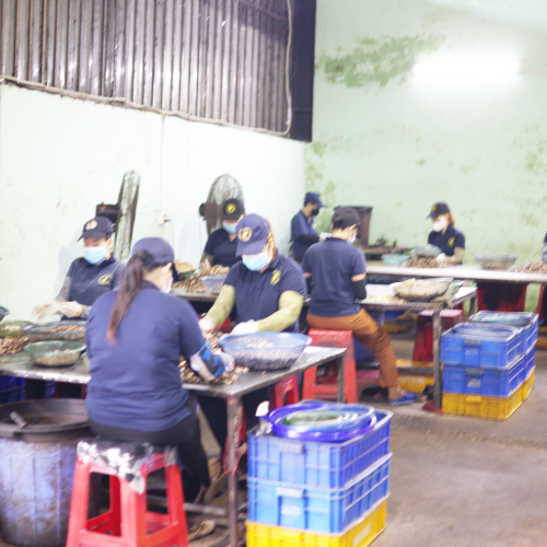 CUTTING AREA