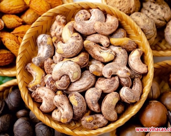 Vietnam Cashew Nut Export: Challenges of US Tariffs and Opportunities from Falling Raw Cashew Prices